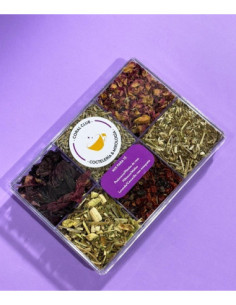 mix té caja con 6 estilos